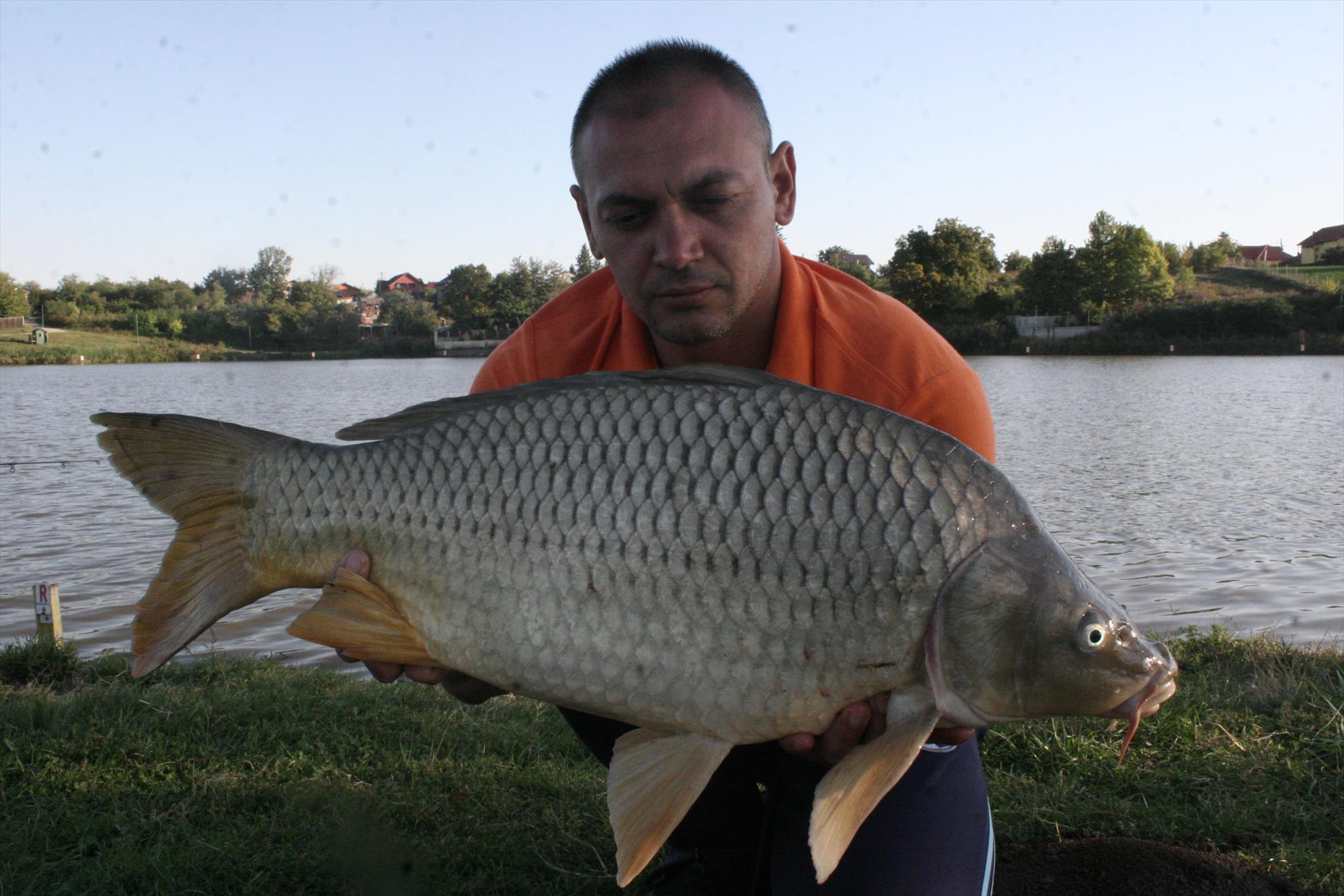 PESCUIT - img0072.JPG